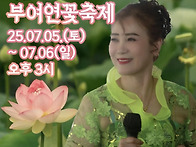 이번주 가을이님 공연일정