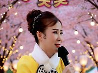 ♧ 안동 벚꽃축제 ♧