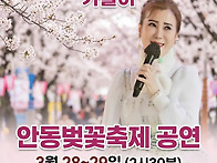 안동 벚꽃축제 공연