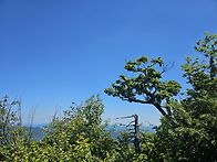 발왕산