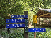 강씨봉 휴양림