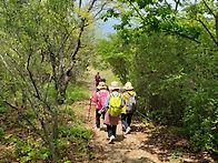 경남합천군한우산