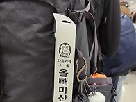 북알프스로가는 새끼올빼미