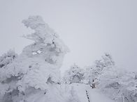 겨울 한라산 엘사..