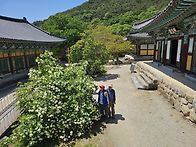 모악산(금평저수지.금산사..