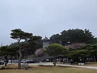 4대리구 갈매못 성지순례