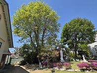 성모님 동산 낮12시 쯤 넘..