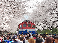 2026년3월29일(일)- 진..