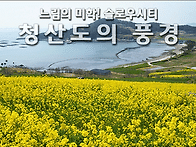 26년 4월 26일 청산도 슬..