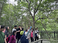 240520 숲체험