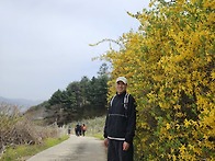 26.04 호랑이가 살고있는 ..