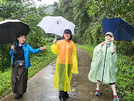 옥순봉 출렁다리