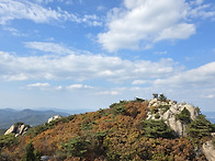 10/11일 핸폰에 ..