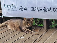 #2 260809 대공..
