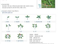 바이러스 치료제,코로나 ..