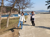 봄바람 고향바람(2026.0..