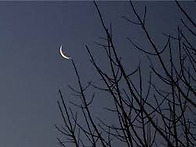 새벽 그믐달 - 홍해리