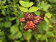 덕유산 어사길 트레킹