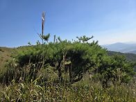 오서산여행