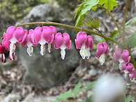 화악산
