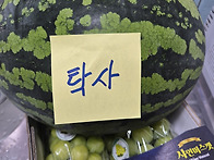 2026년7월11일 토요일 탁..