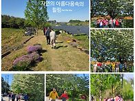 이팝꽃 아래서~~
