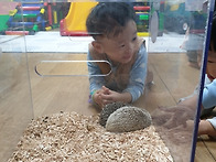 와우쥬
