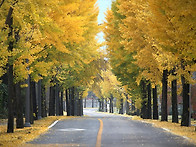 11월 20일 연습모임