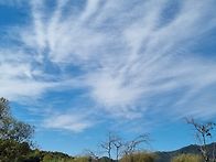 11월 13일 연습모임