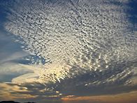 10월 30일 연습모임