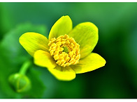 4월 16일 연습모임