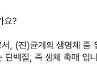 ㅍ