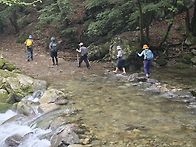 자연 기행이 보유한 것 중..