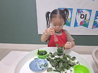 아침놀이(채소 관찰)