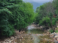 맑다 참...2022.07.17..