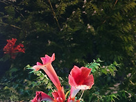 변함없이...2022.07.0..