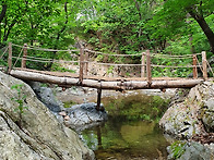 자연스럽게...2022.06...