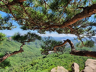 은밀한 유혹...2022.08..