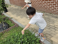 ＜9월 2주＞ 텃밭놀이 -..