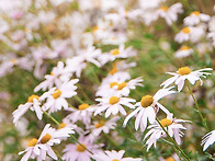 10월 장카 정기출사 갑시다..