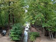 경주 천년숲정원