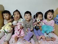 12월 1주 겨울이 왔어요 ..