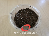 열매2반 봄꽃을 만나요 &..