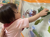 6월 3주 &ldquo;자연을 느껴요1..