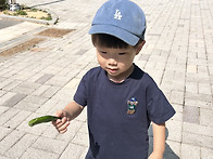열매2반 7월1주 더운 여름..