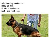 2025 CSV