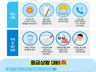 2025년 노인일자리 참여자..