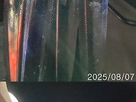 25-08-08 대성호 갈치조황~!!