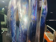 25-11-24 대성호 갈치조황~!!