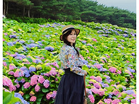 화려한 수국 정원에서-쥬베..